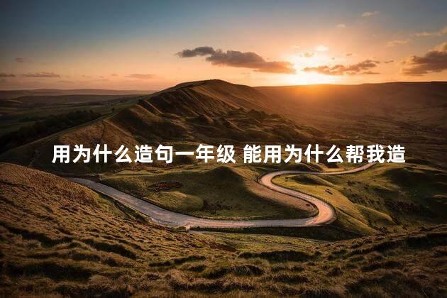 用为什么造句一年级 能用为什么帮我造个句吗